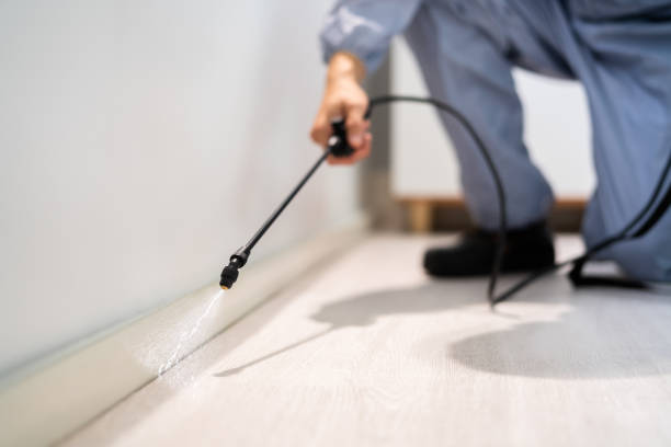 Rodent Entry Point Assessment in Lindsay