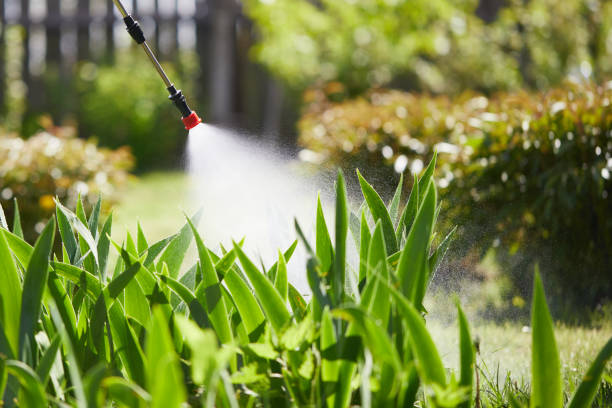 Tamper-Resistant Bait Stations for Rodents in Lindsay