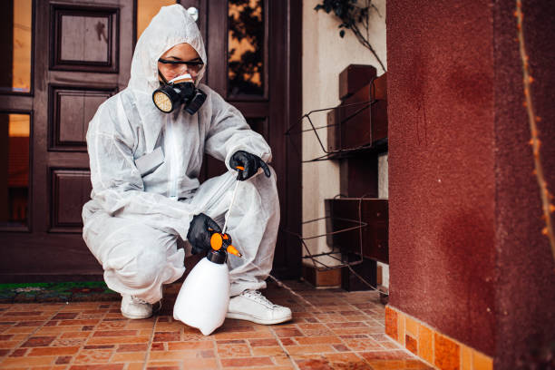 Attic and Crawl Space Rodent Treatment in Lindsay